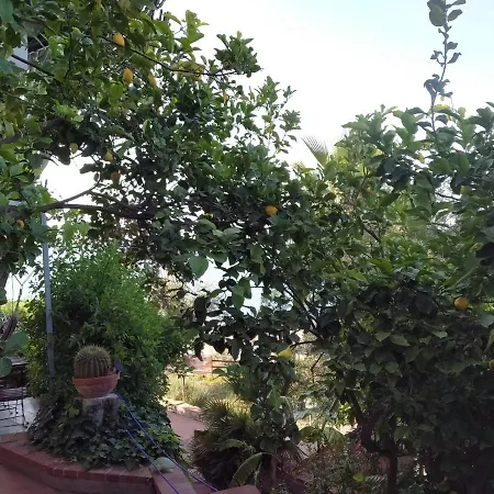 The Pergola By The Sea Villa Altavilla Milicia